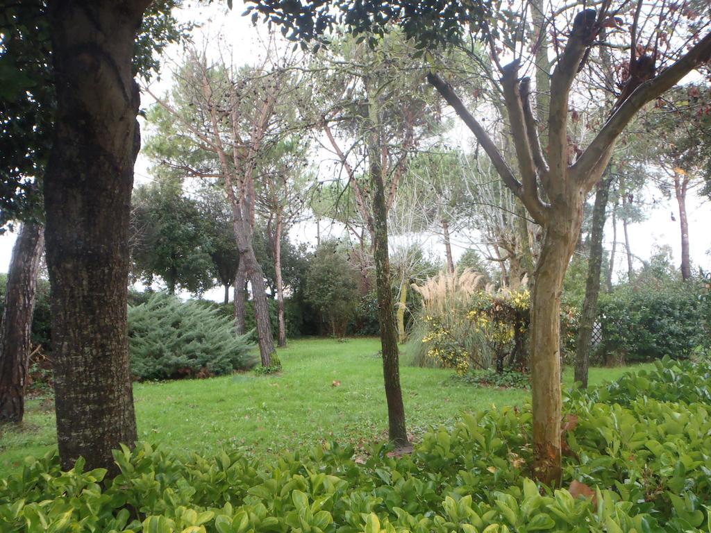 סאן ג'יוליאנו טרמה Airone Pisa Hotel Ristorante מראה חיצוני תמונה